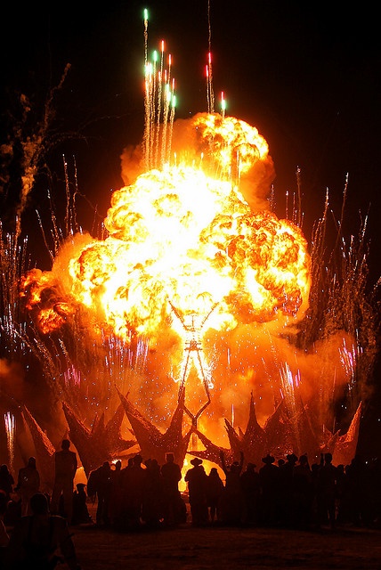 Burning Man (46)