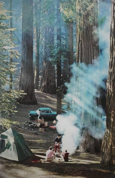Camping 2 (3)