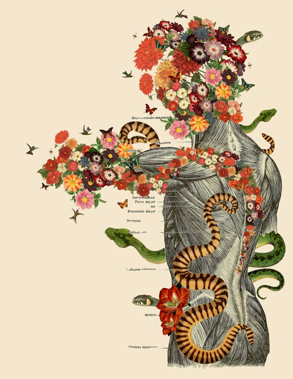 Travis Bedel