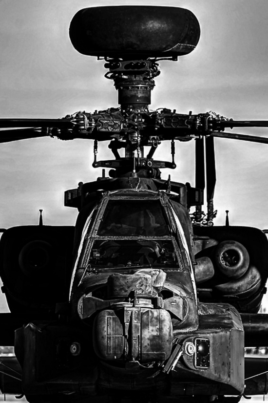 tn_Posted-On-Shock-Mansion-290