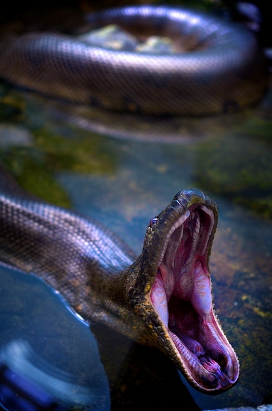 tn_Posted-On-Shock-Mansion-3218