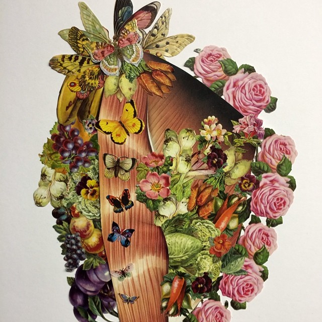 Travis Bedel