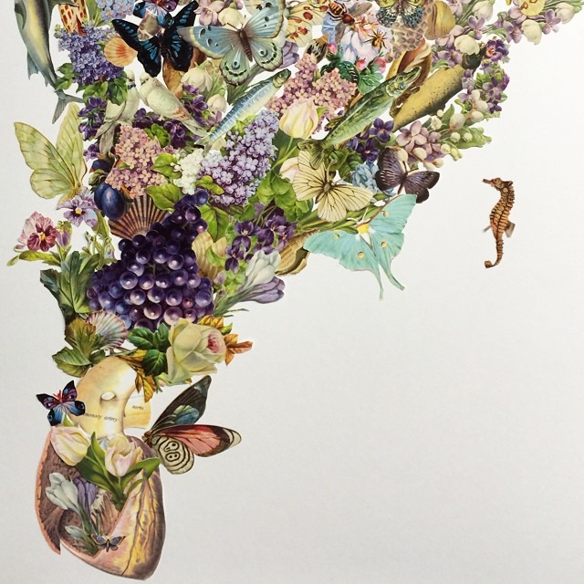 Travis Bedel
