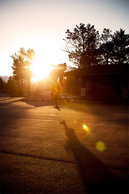 skate2 (18)