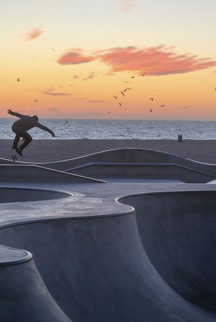 skate2 (4)