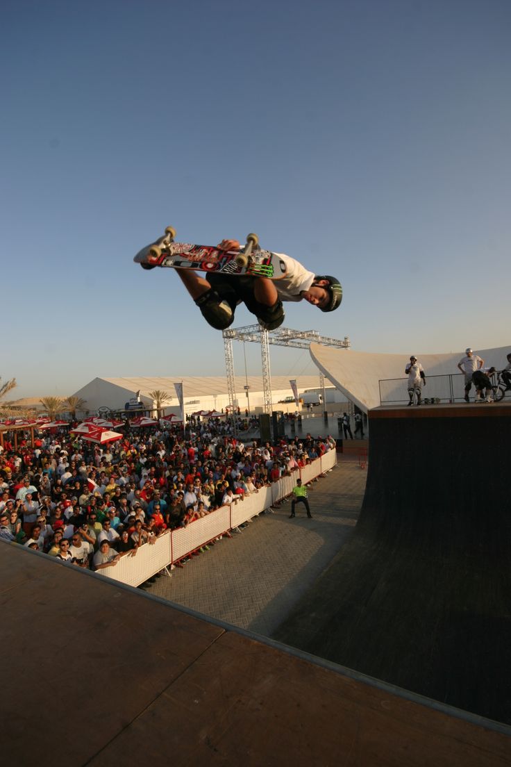 skate2 (49)