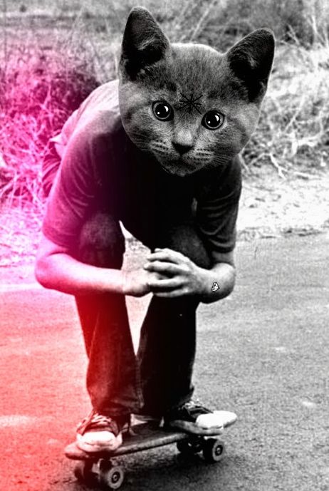 skate3 (40)