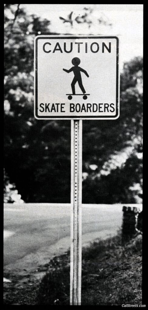 skate5 (22)